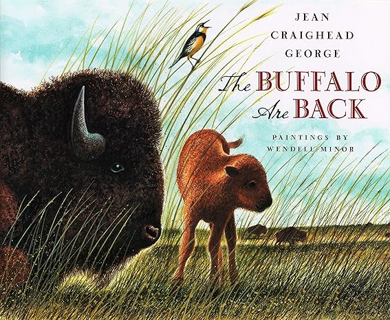 Buffalo Are Back - Beautiful Feet Books.jpg