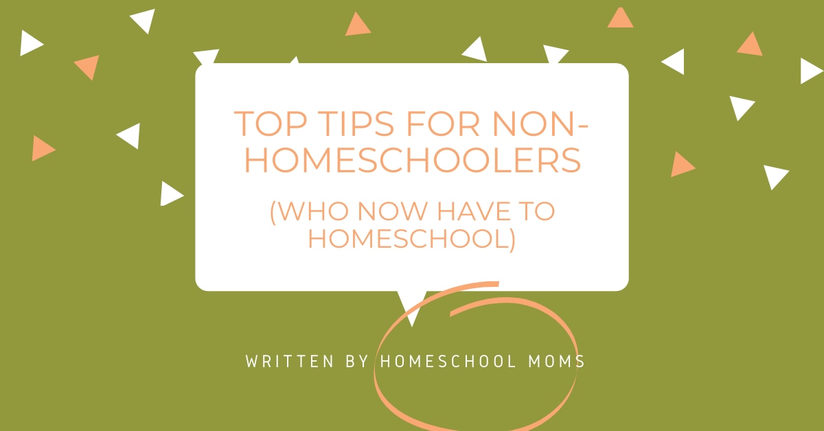 Copy of Copy of top tips for non-homeschoolers.png