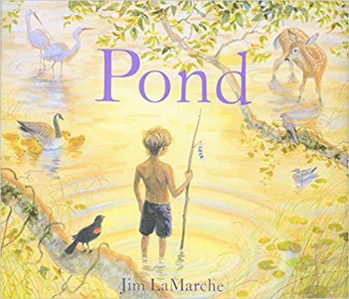 Pond - Beautiful Feet Books.jpg